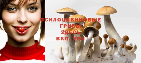 метамфетамин Гусь-Хрустальный
