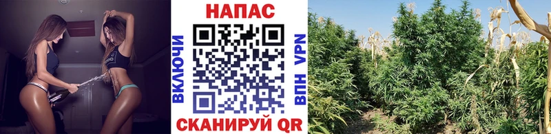 Каннабис MAZAR  OMG ссылка  Кудымкар 